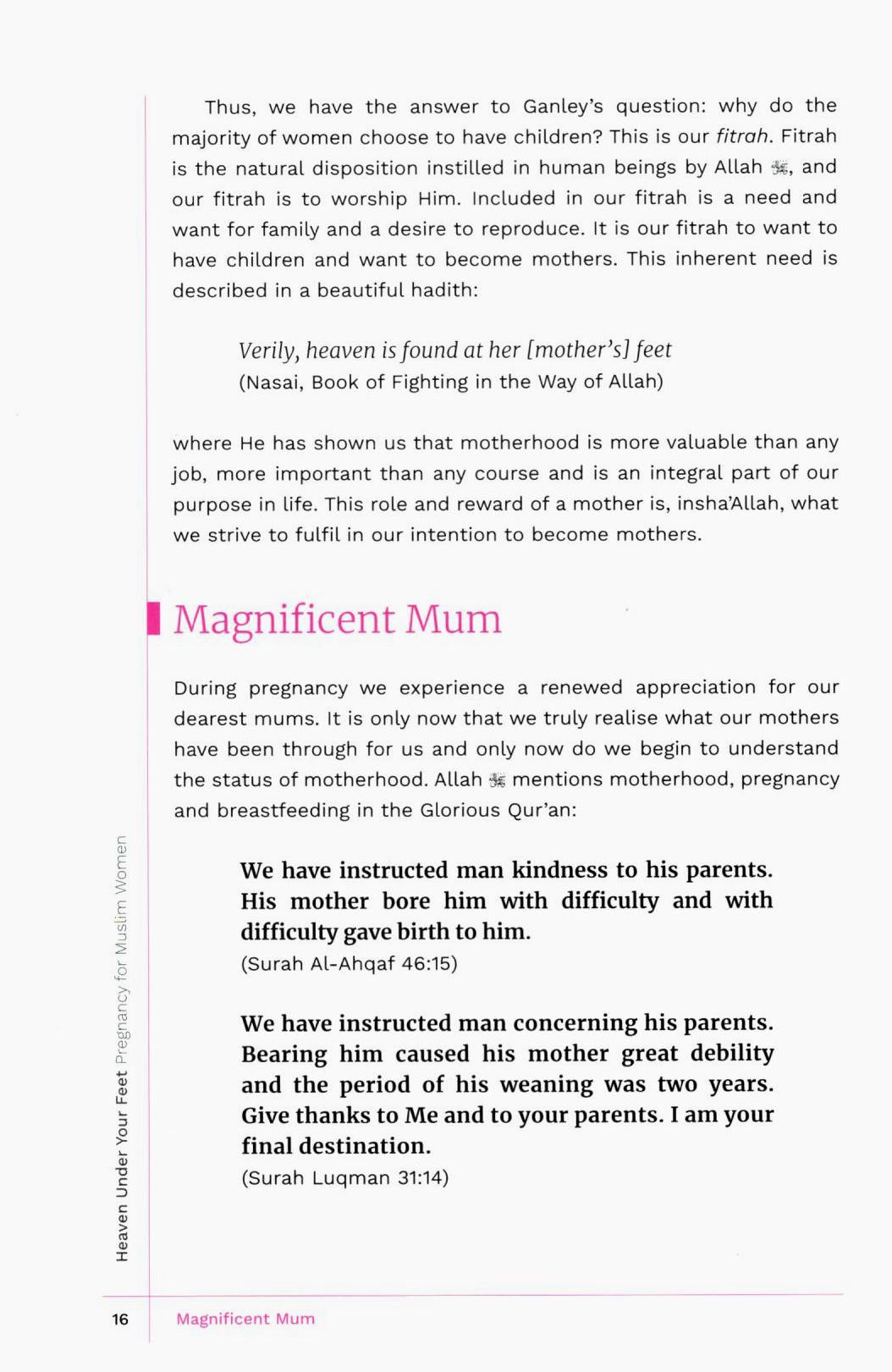 Heaven Under Your Feet - Pregnancy for Muslim Women