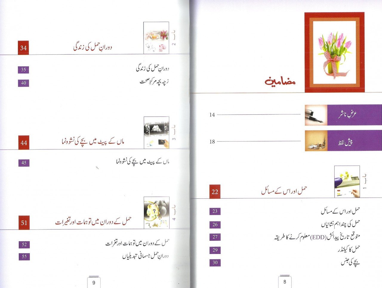 اگر آپ ماں بننے والی ہیں – Dawah Books