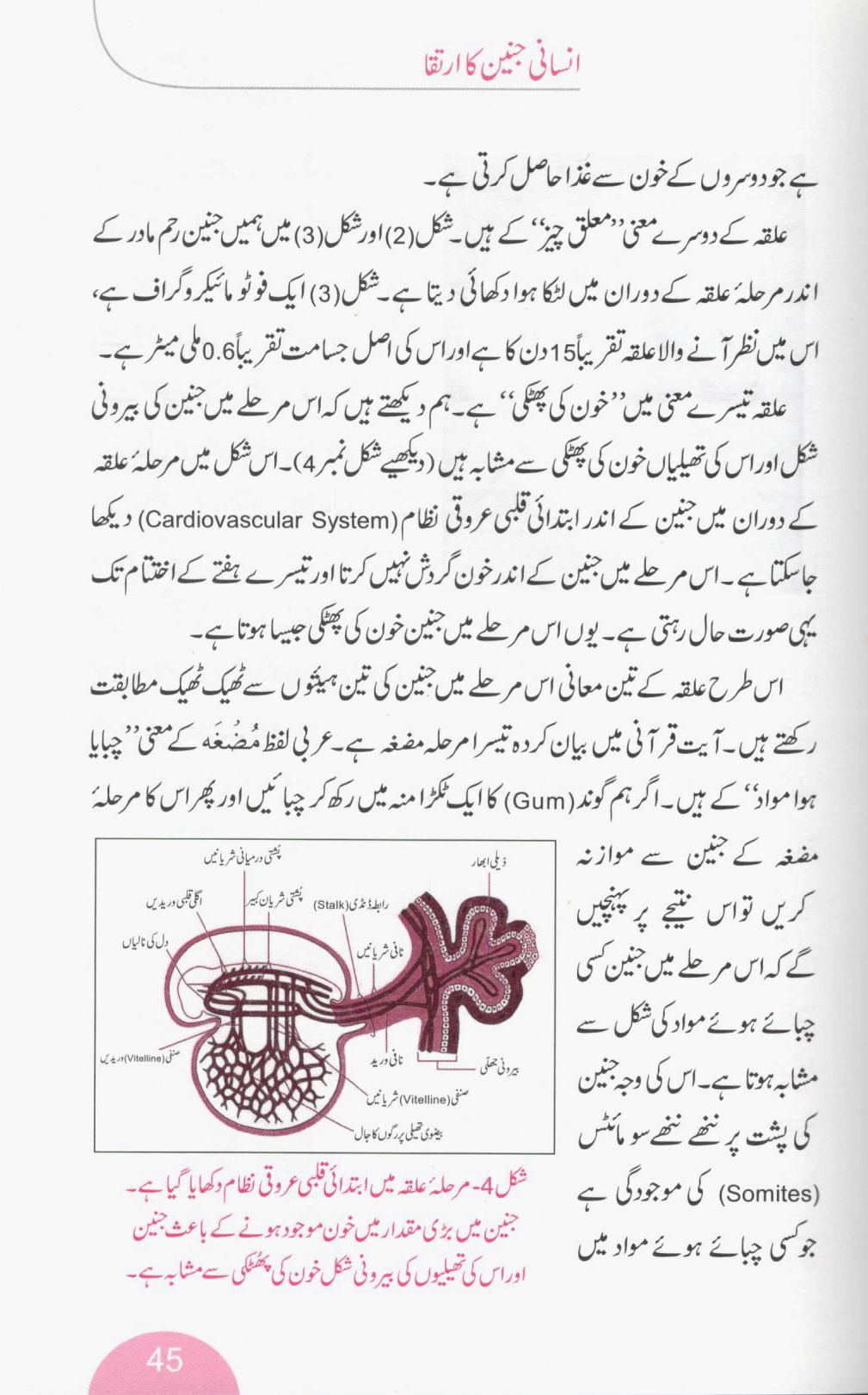 اسلام کی سچائی اور سائنس کے اعترافات