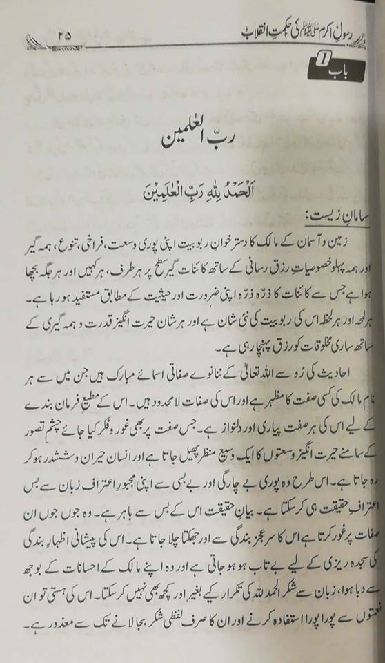 رسول اکرم کی حکمت انقلاب