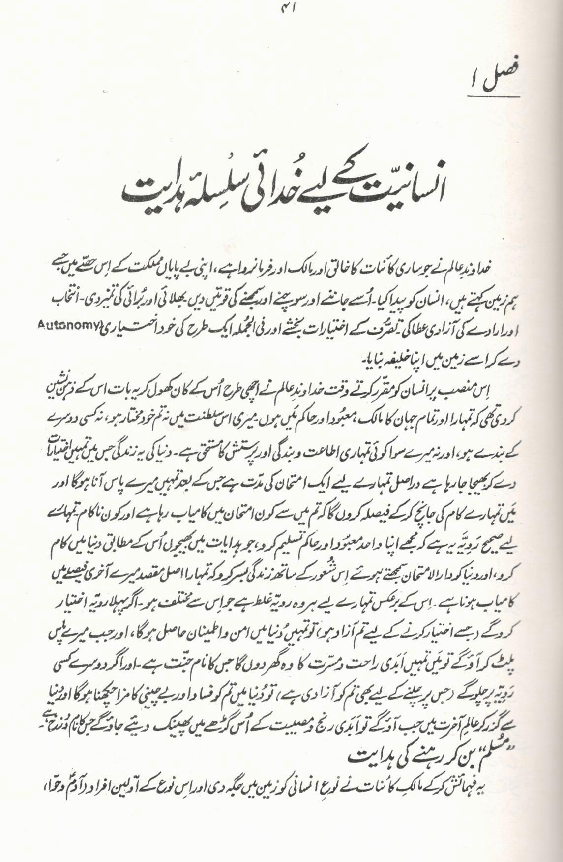 سیرت سرور عالم - ۳ جلدیں