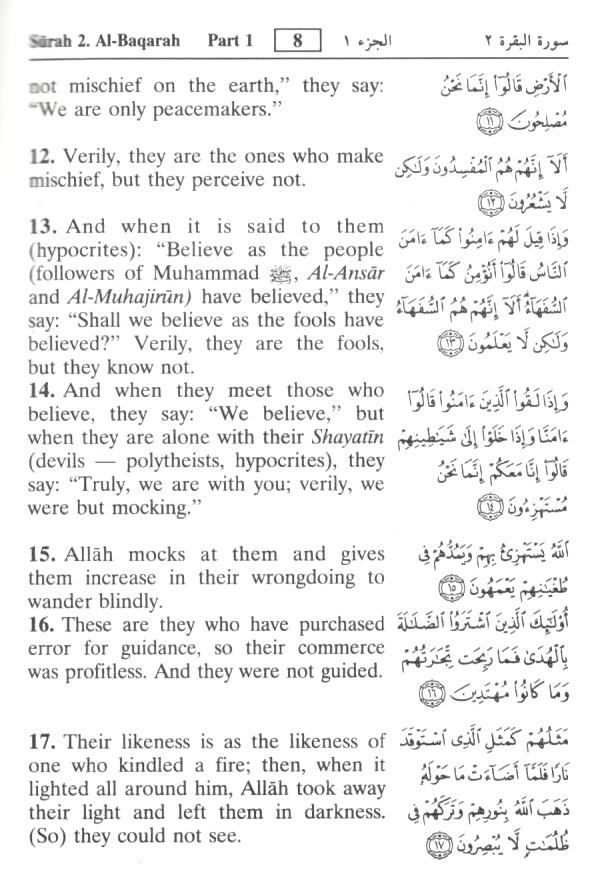 The Noble Quran (Zip Cover)