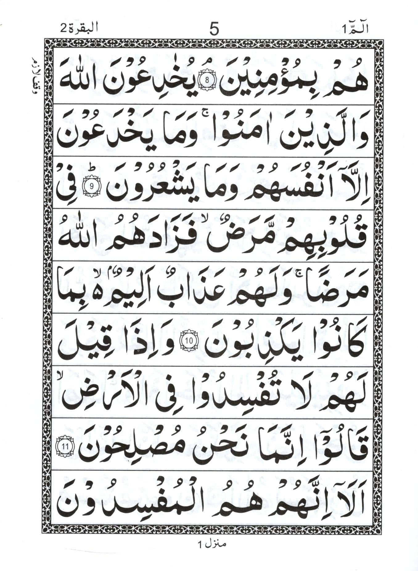 Set of 30 Paras - Without Translation - Large Font