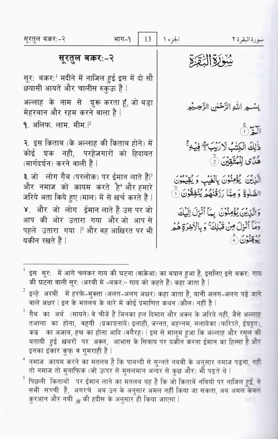 The Noble Quran - Hindi Translation