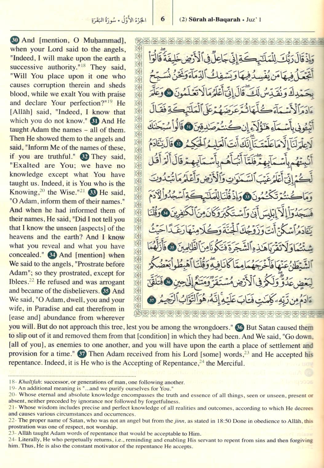 The Qur'an - Saheeh International