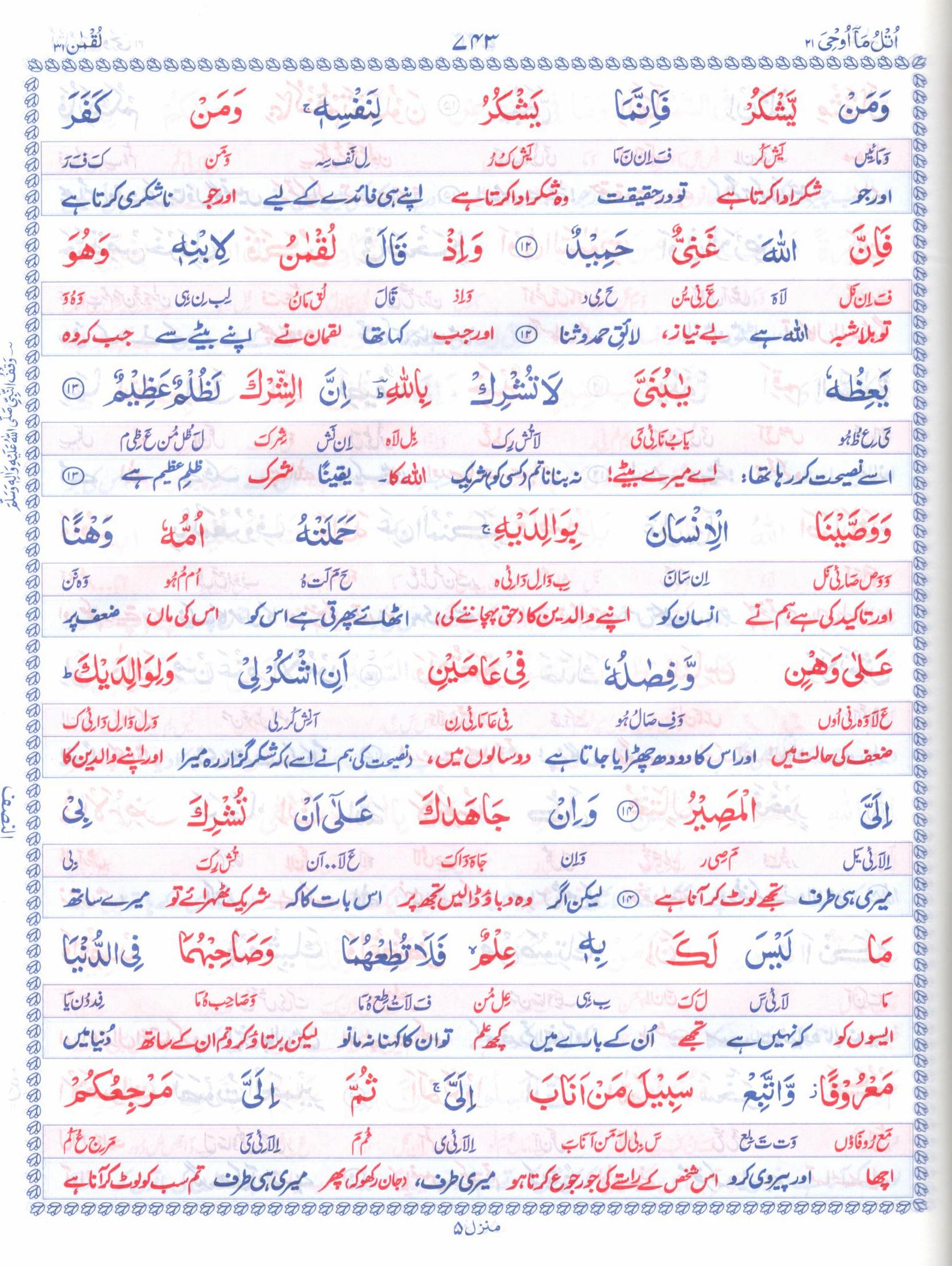 قرآن حکیم اردو تلفظ -ترجمہ مولانا سید شبیر احمد - 3 جلدیں
