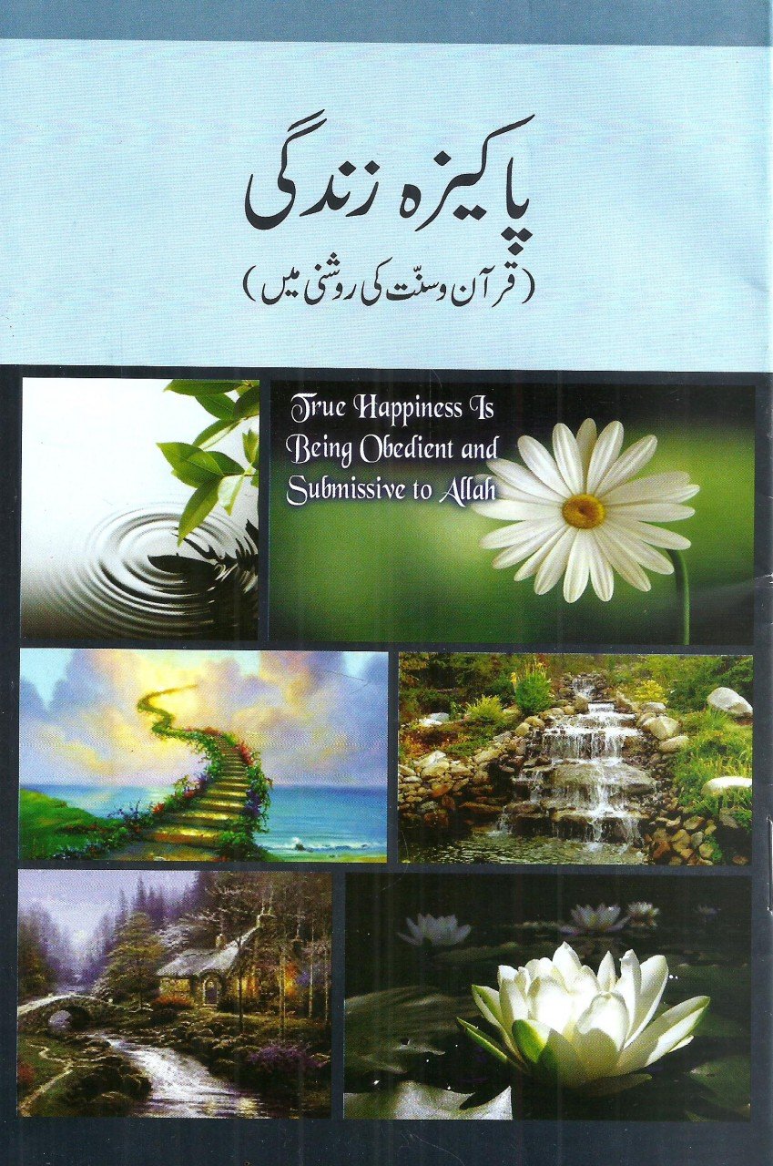 پاکیزہ زندگی