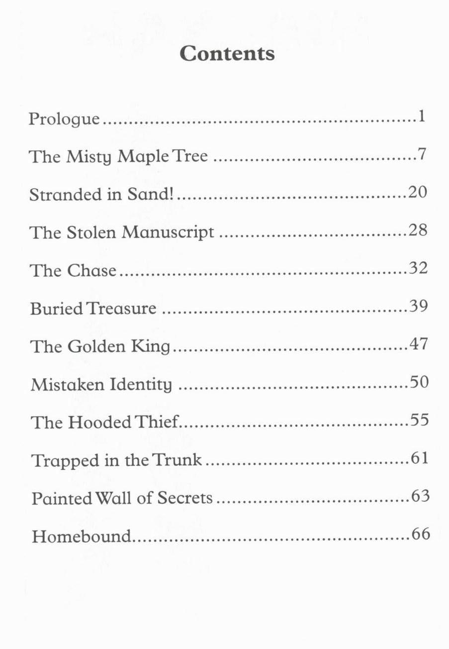 Jannah Jewels Book 1: The Treasure of Timbuktu