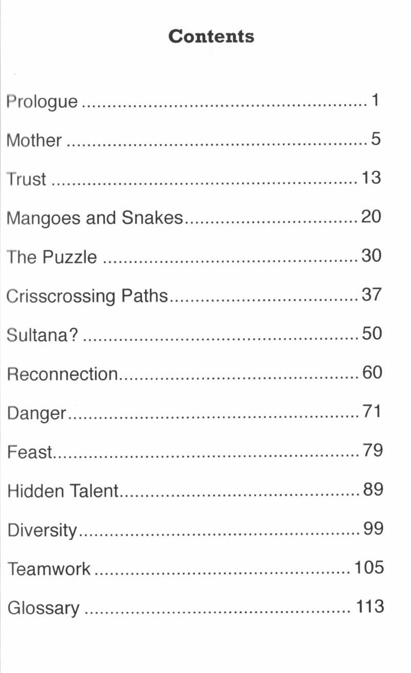 Jannah Jewels Book 10: Intrigue in India