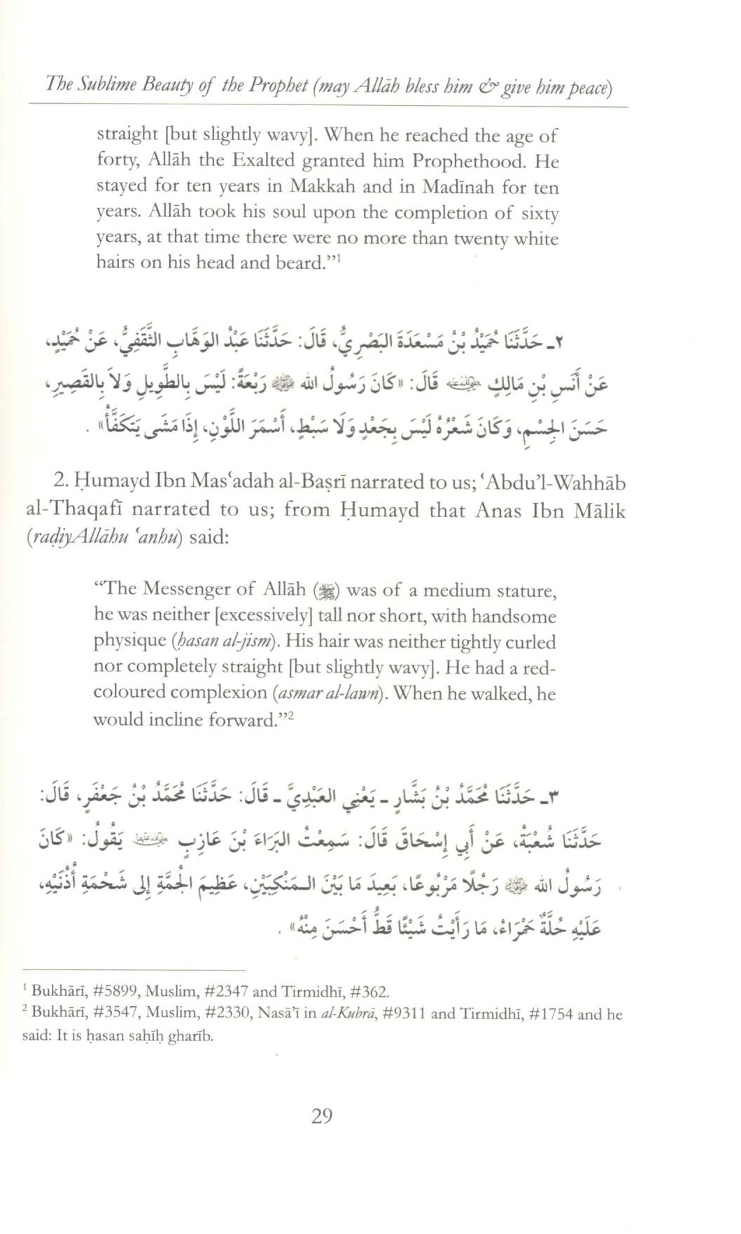 The Sublime Beauty of The Prophet (sww)