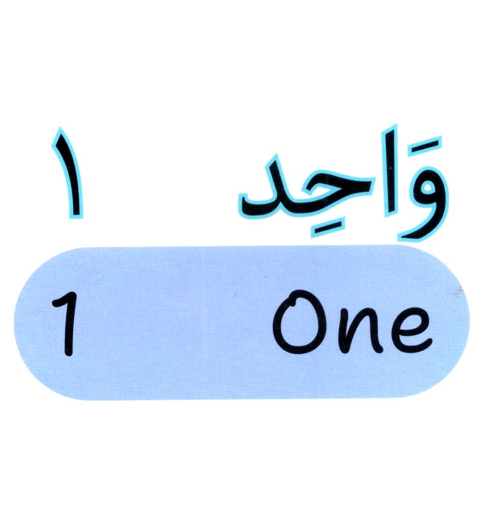 My First Book of Numbers | Arabic - English