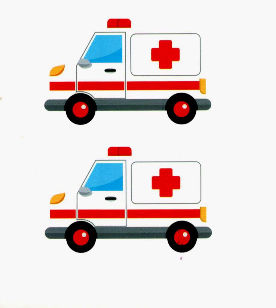 My First Book of Numbers | Arabic - English