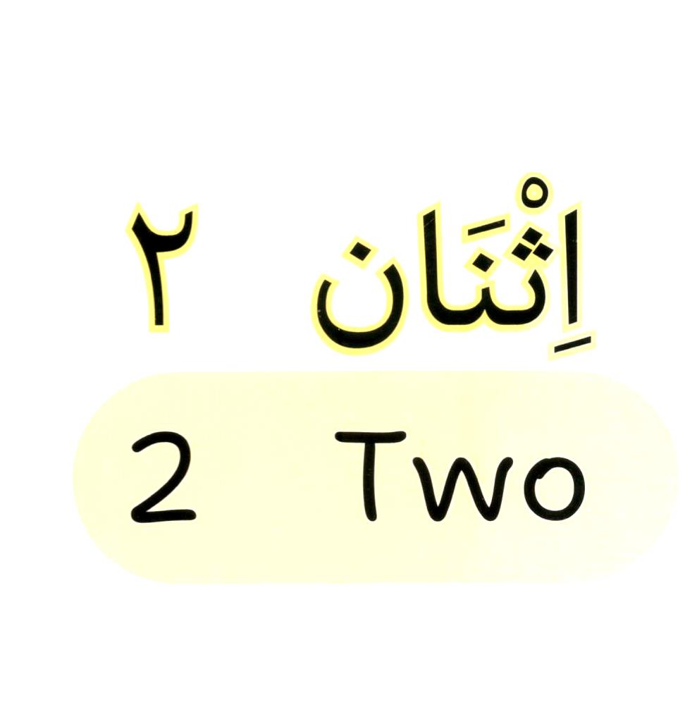 My First Book of Numbers | Arabic - English