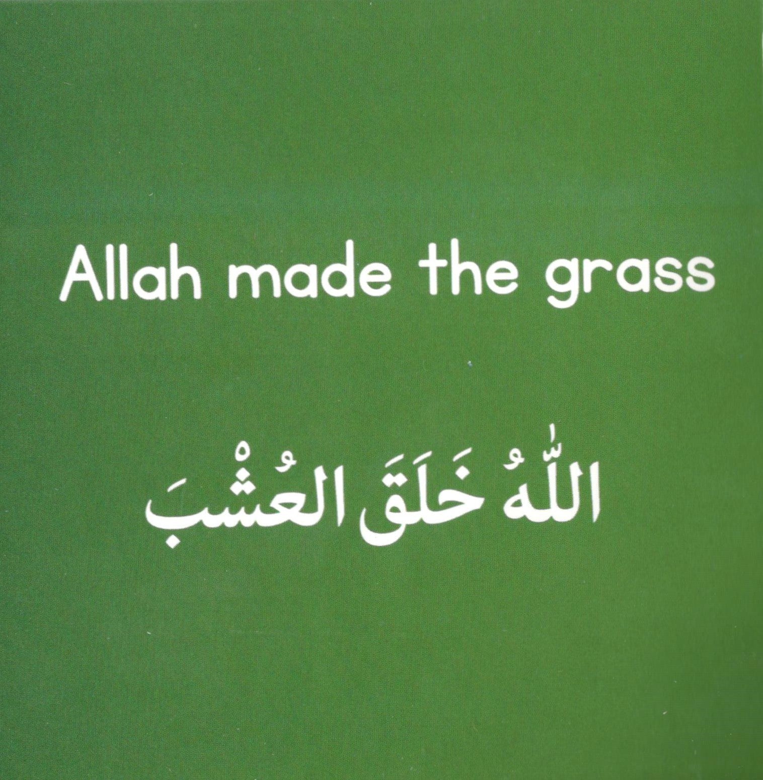 Allah Made The World Around Me - Bilingual Touch and Feel Book