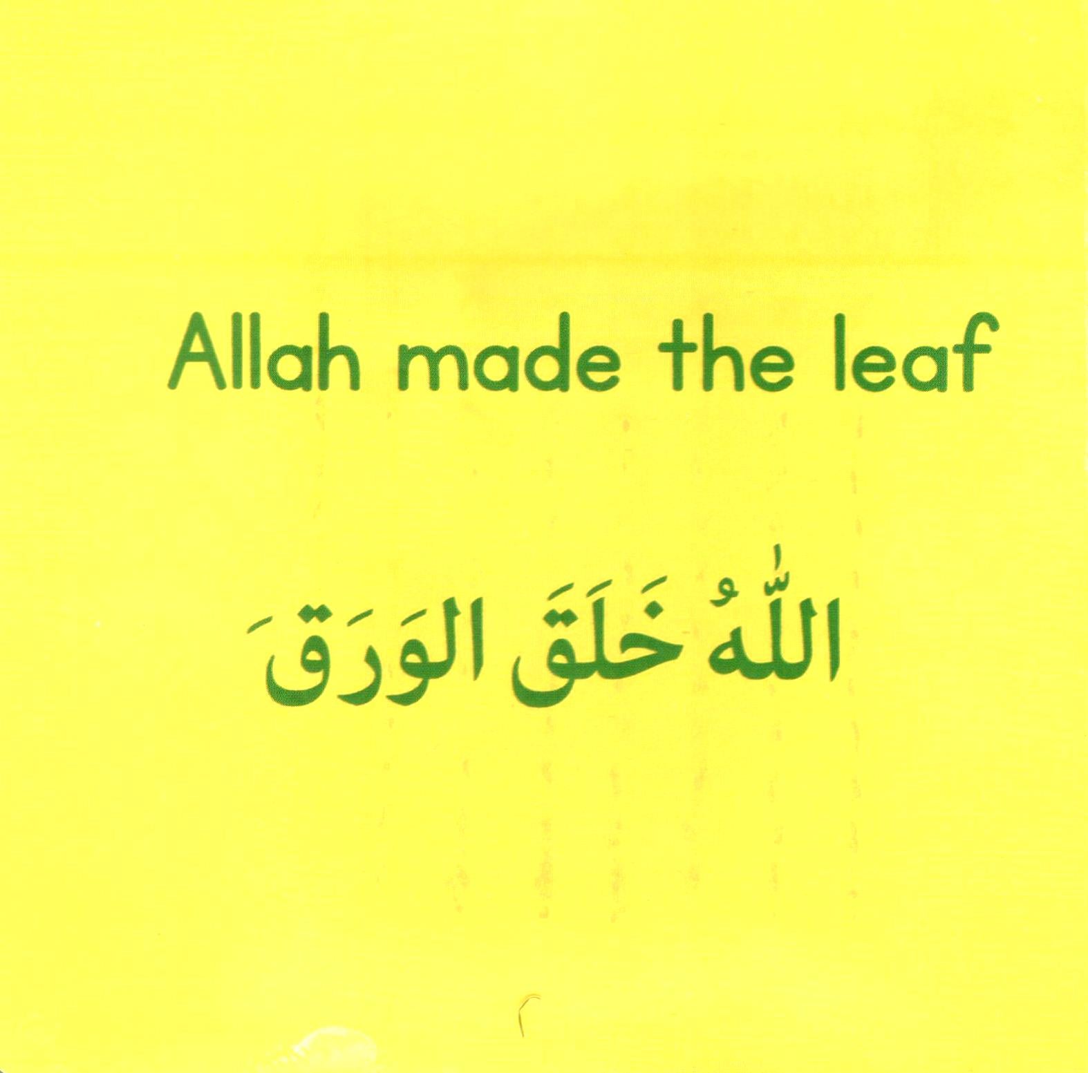 Allah Made The World Around Me - Bilingual Touch and Feel Book