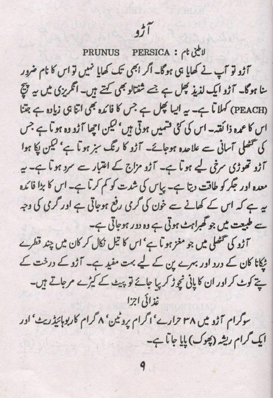 مفید غذائین دوائیں