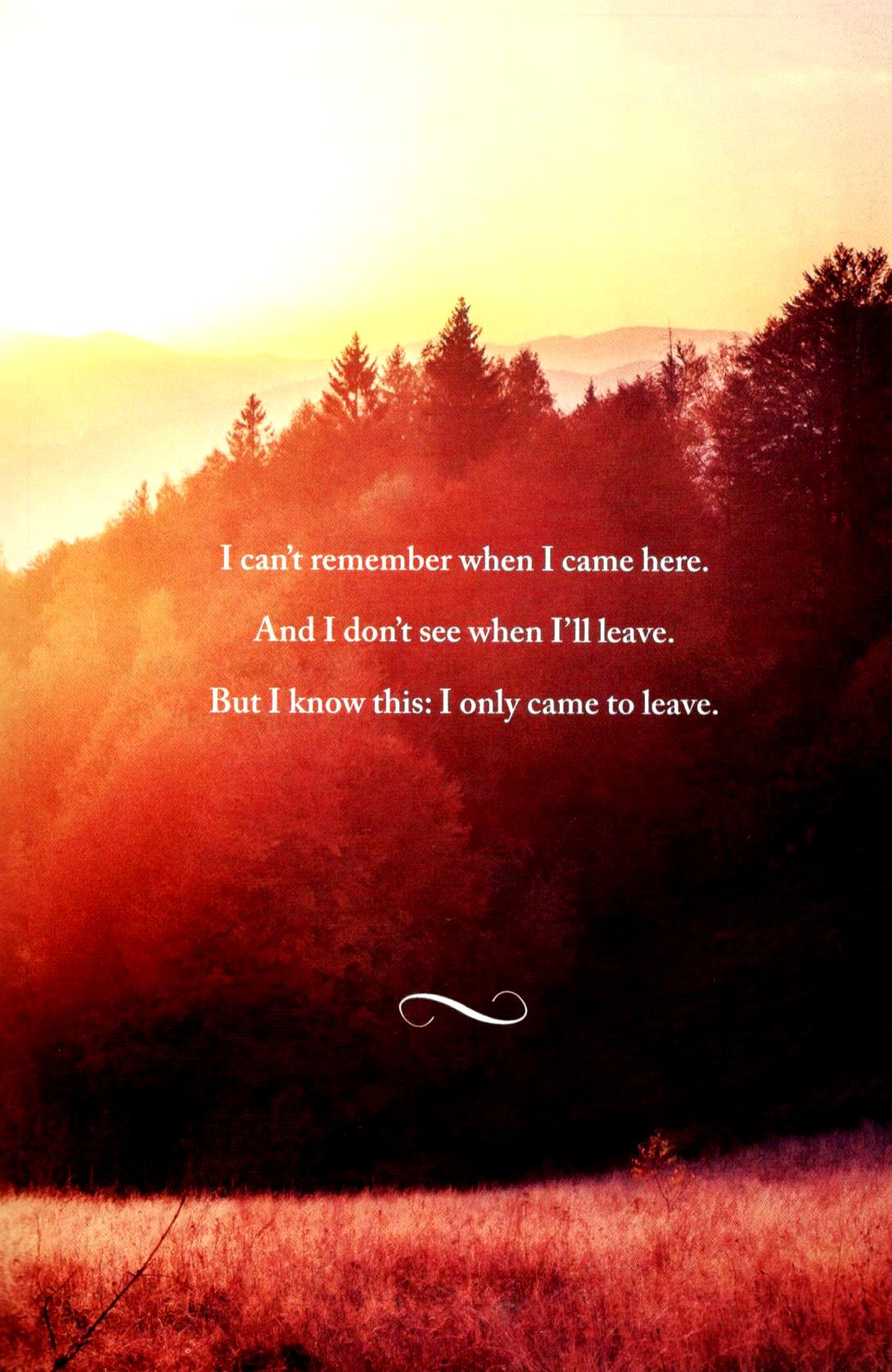 Love & Happiness - A collection of personal reflections, thoughts and quotes