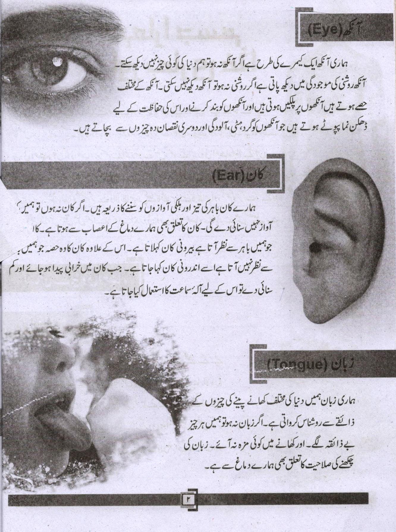 Jugnoo Fast Track Primary Education - Urdu, English, Maths, Science and Social Studies (Set of 5 Books)