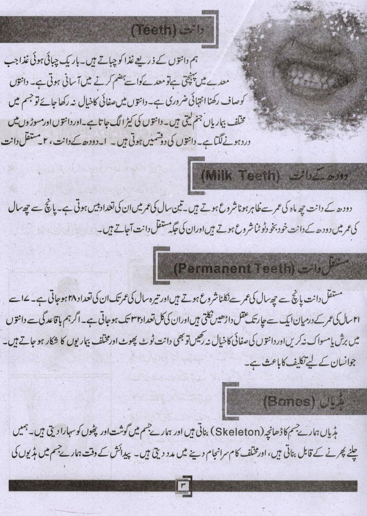 Jugnoo Fast Track Primary Education - Urdu, English, Maths, Science and Social Studies (Set of 5 Books)