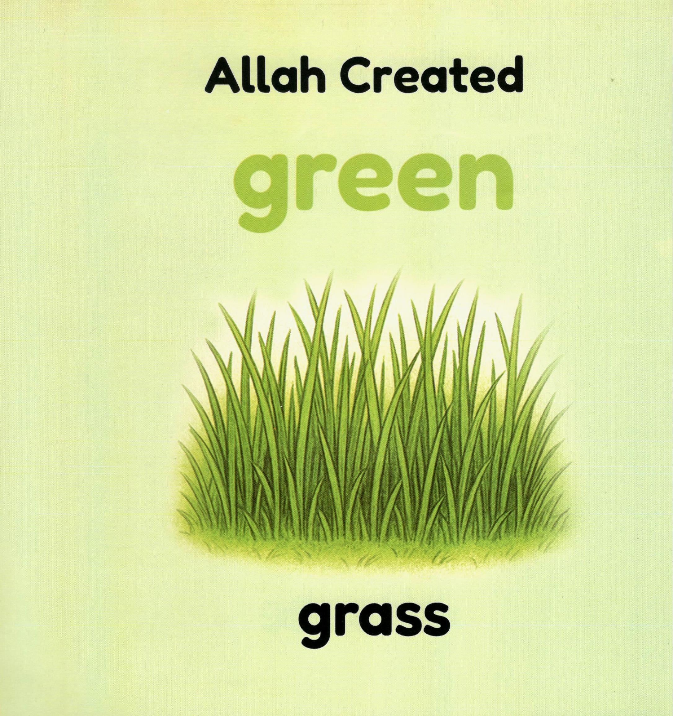 Colours Allah Creates Man Makes