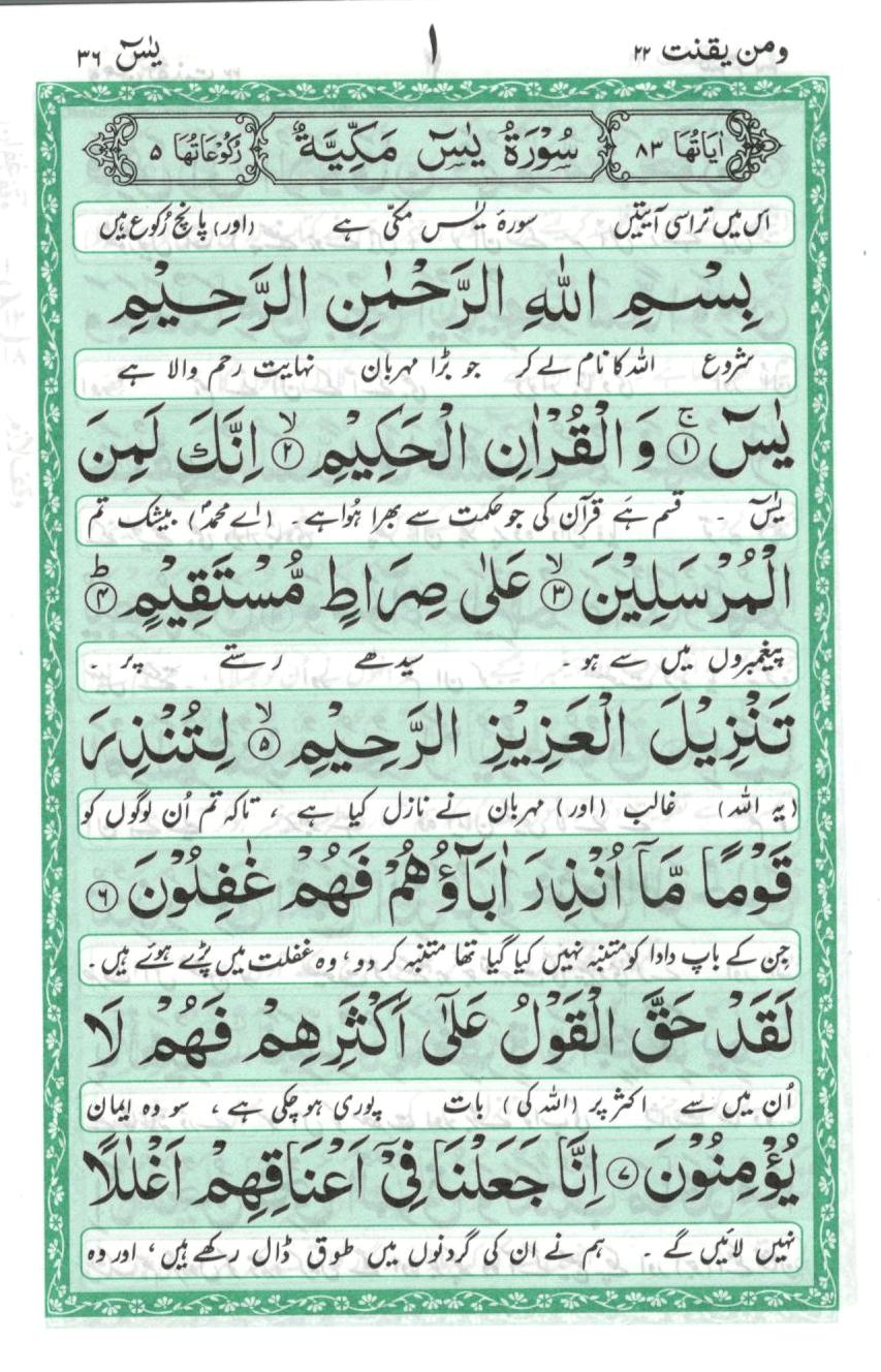 سورۃ یٰس - مترجم