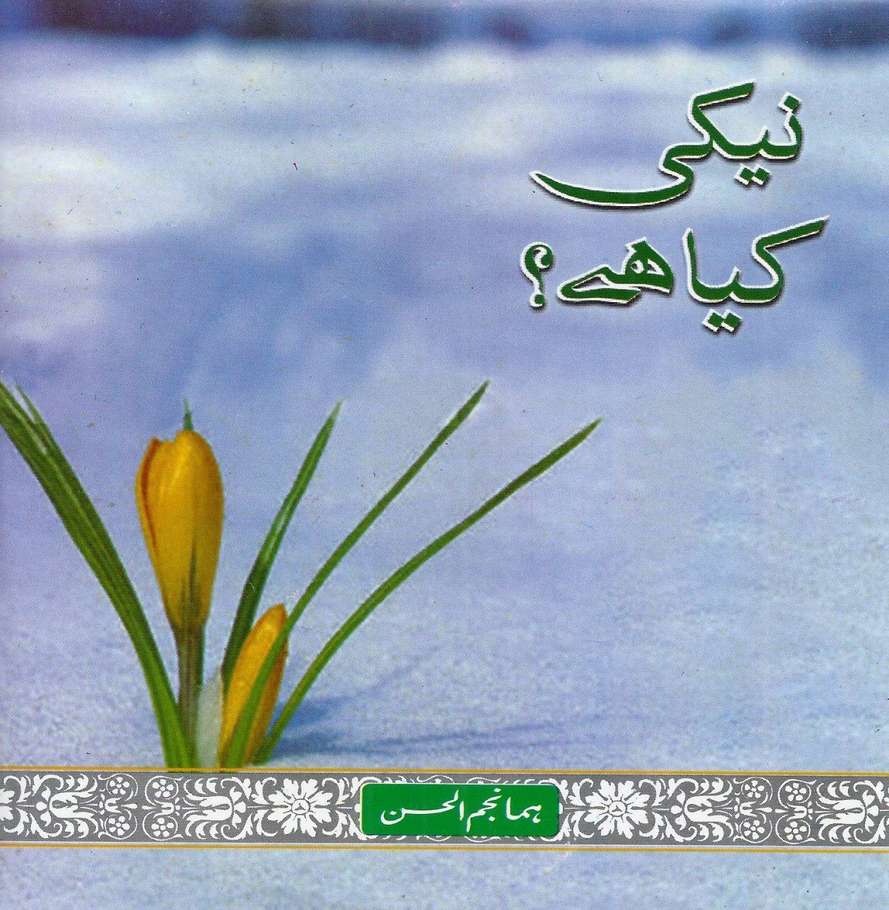 Audio Cd: نیکی کیا ہے؟