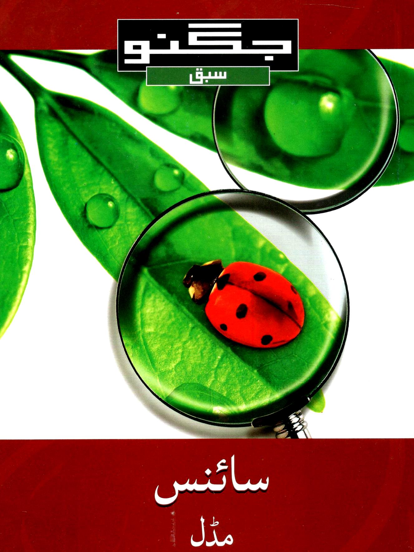 Jugnoo Fast Track Middle Education - Urdu, English, Maths, Science and Social Studies (Set of 5 Books)