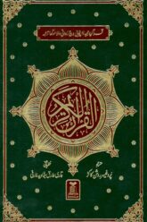 Cover of Punjabi Quran Translation